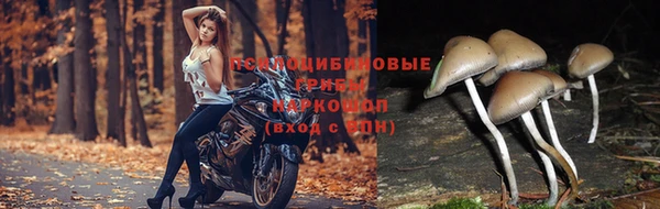 2c-b Аркадак