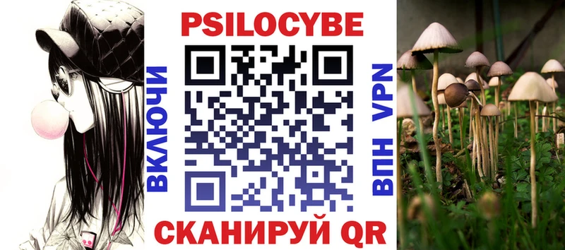 Псилоцибиновые грибы Cubensis где купить Строитель